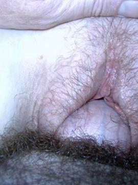 Наваждение Багиры фото